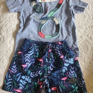 Boys Joules shorts and shirt outfit.  Size 3